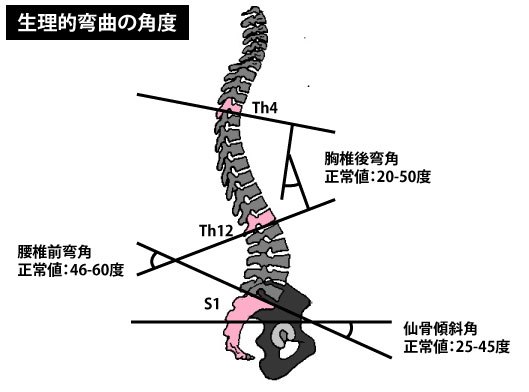 QuickQ让每一次连接都更轻快 在线协作体验
